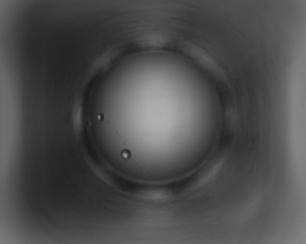 X0000101390638200807071158