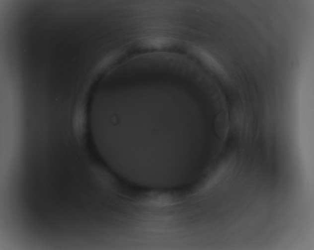 X0000101390640200807071158