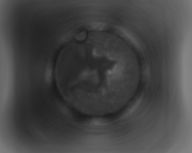 X0000101390641200807071158