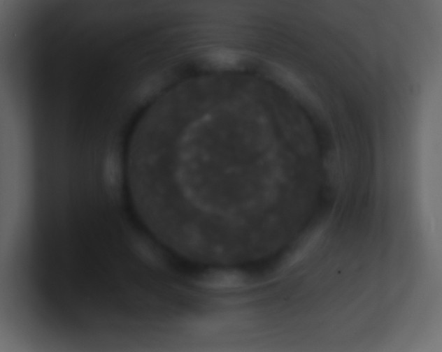 X0000101390642200807071158