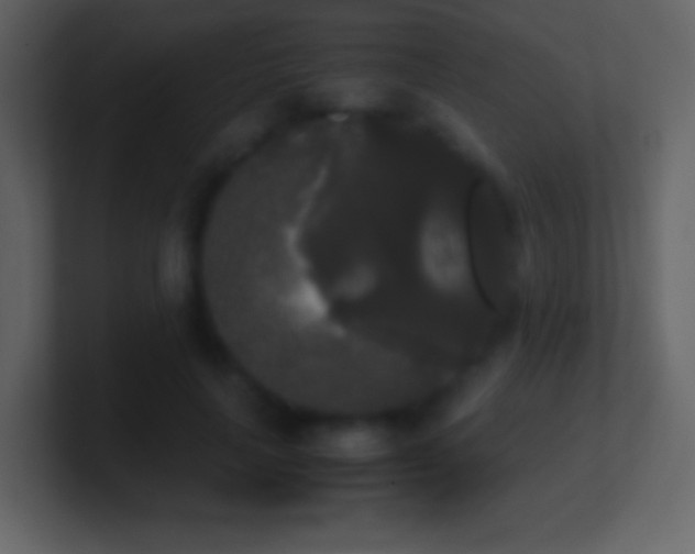 X0000101390643200807071158