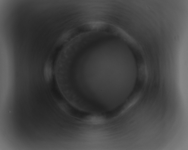 X0000101390644200807071158