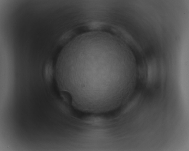 X0000101390648200807071158