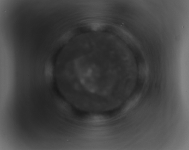 X0000101390650200807071158