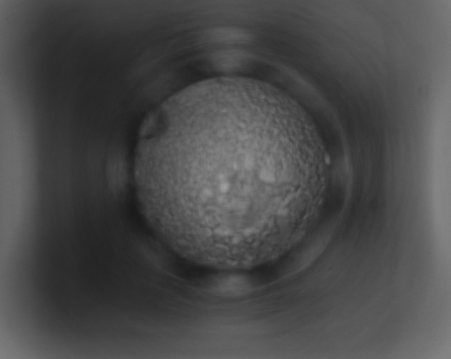 X0000101390651200807071158