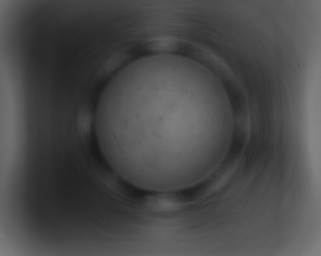 X0000101390652200807071158