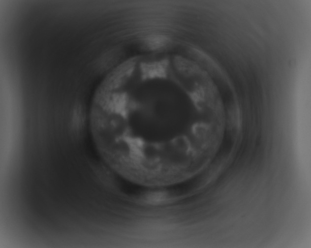 X0000101390653200807071158