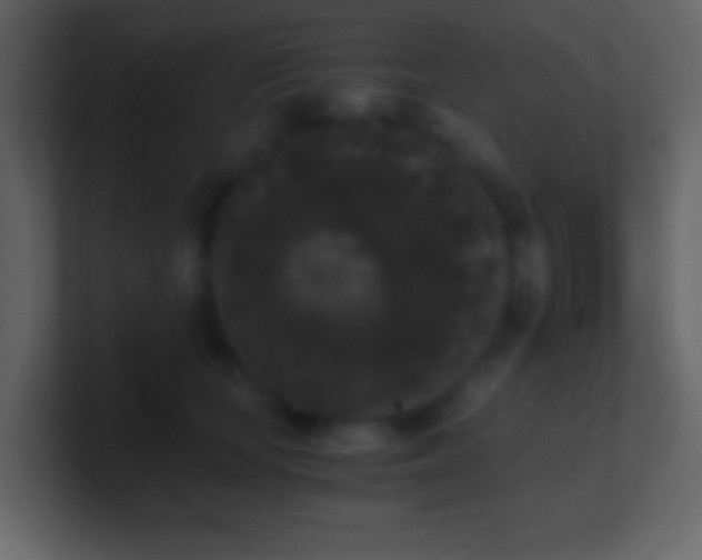 X0000101390659200807071158