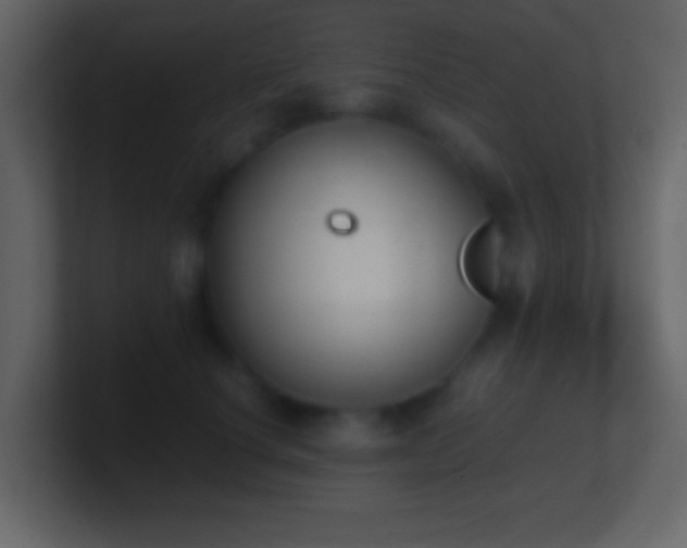 X0000101390660200807071158