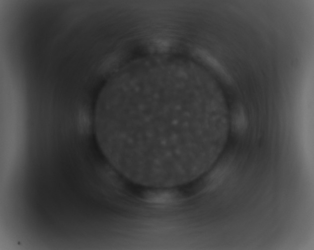 X0000101390661200807071158