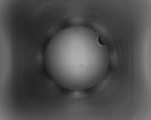 X0000101390662200807071158