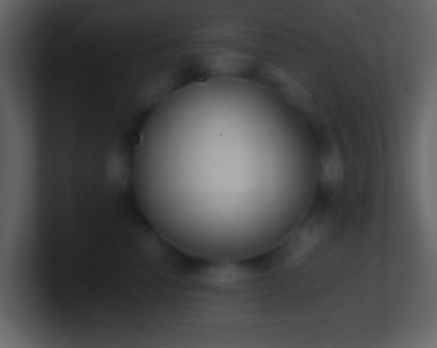 X0000101390666200807071158