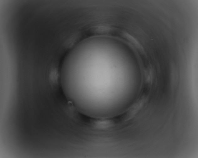 X0000101390669200807071159