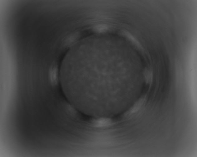 X0000101390670200807071159