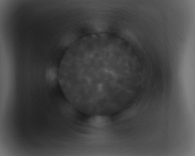 X0000101390672200807071159