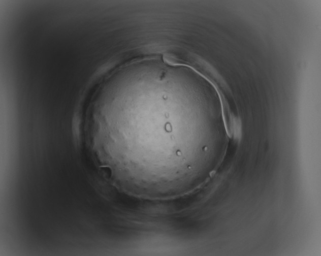 X0000101390675200807071158