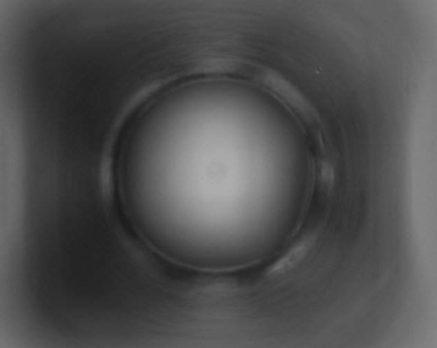 X0000101390676200807071158