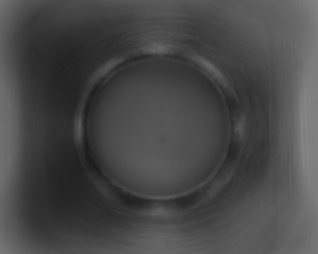 X0000101390678200807071158