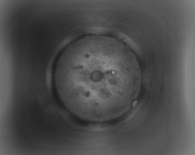 X0000101390679200807071158