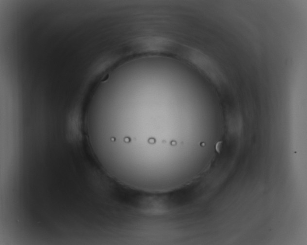 X0000101390680200807071158