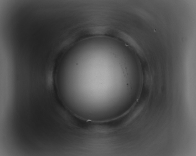 X0000101390681200807071158