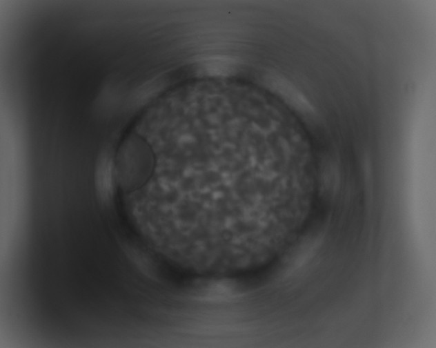 X0000101390683200807071158