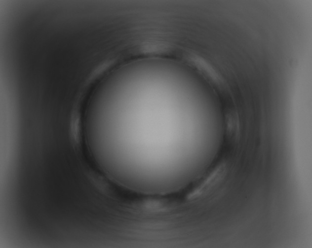 X0000101390684200807071158