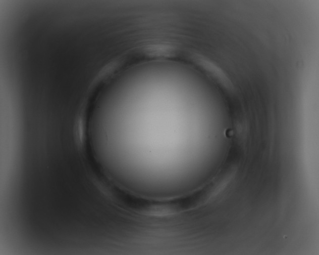 X0000101390686200807071158