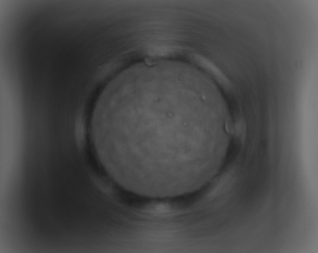 X0000101390687200807071158