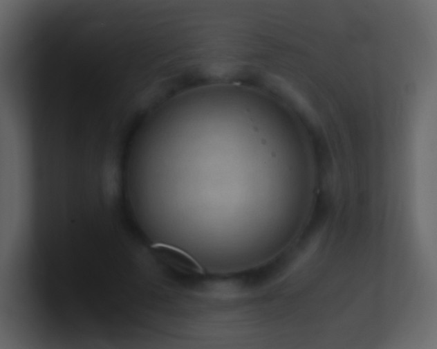 X0000101390689200807071158