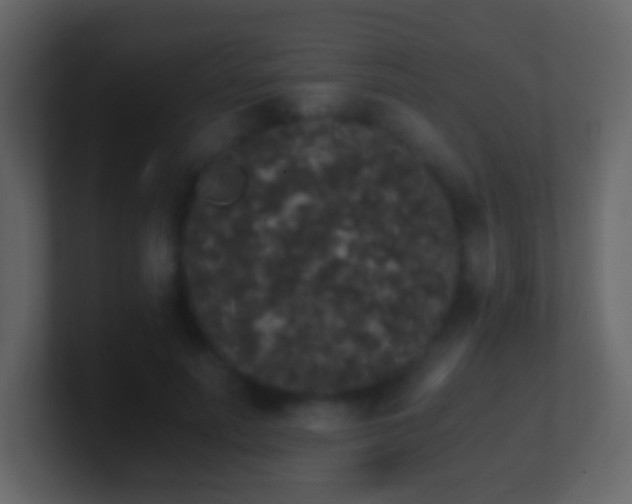 X0000101390691200807071158