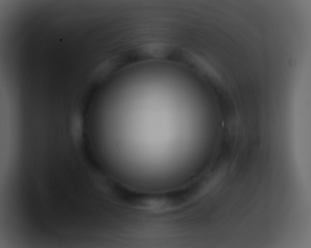 X0000101390693200807071158