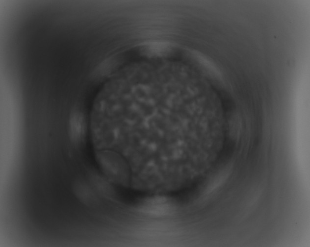 X0000101390695200807071158