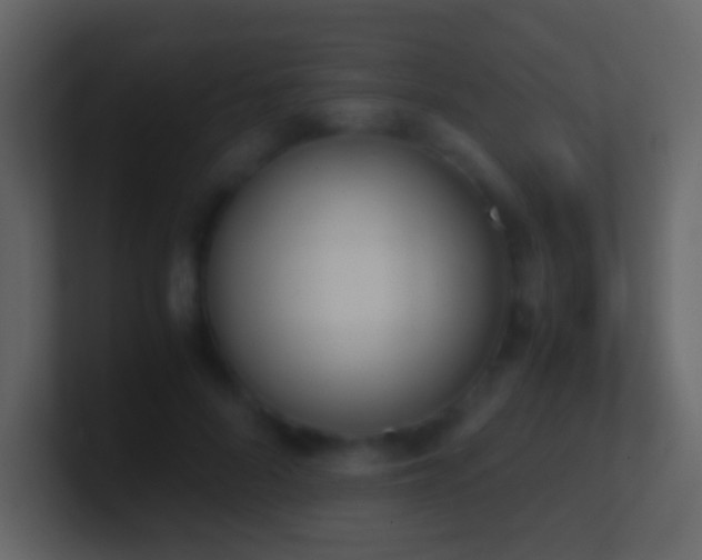 X0000101390696200807071158