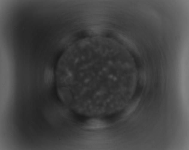 X0000101390699200807071158