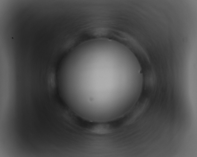 X0000101390700200807071158