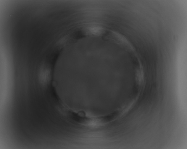 X0000101390701200807071158