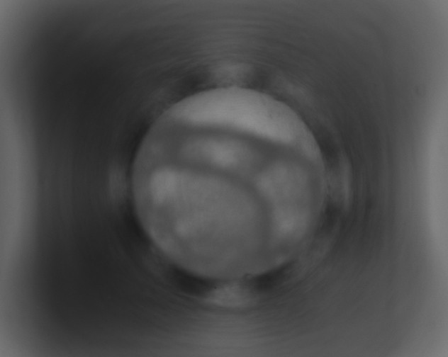 X0000101390705200807071158