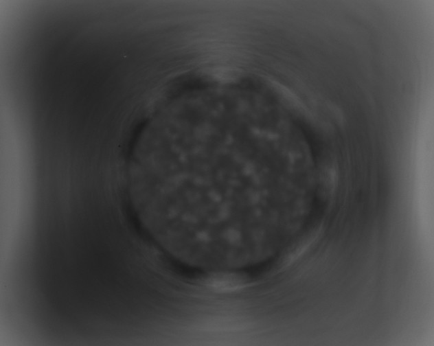 X0000101390707200807071157