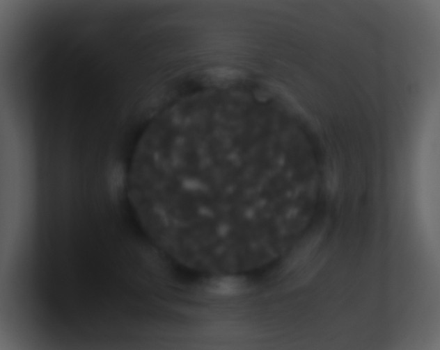 X0000101390711200807071157