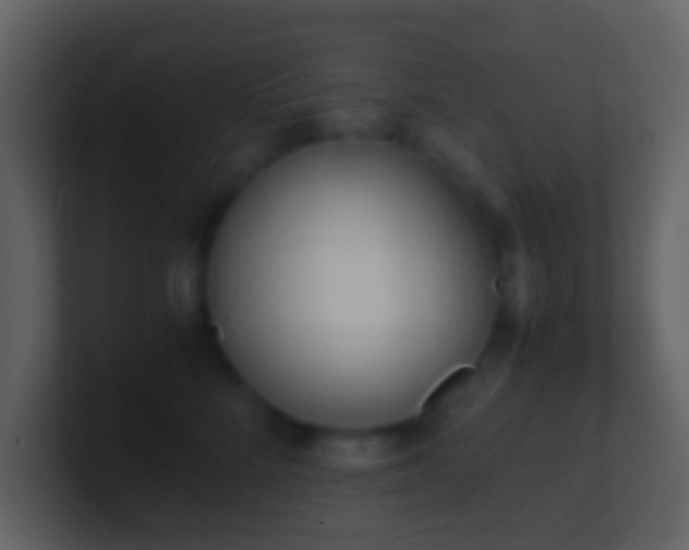 X0000101390712200807071157