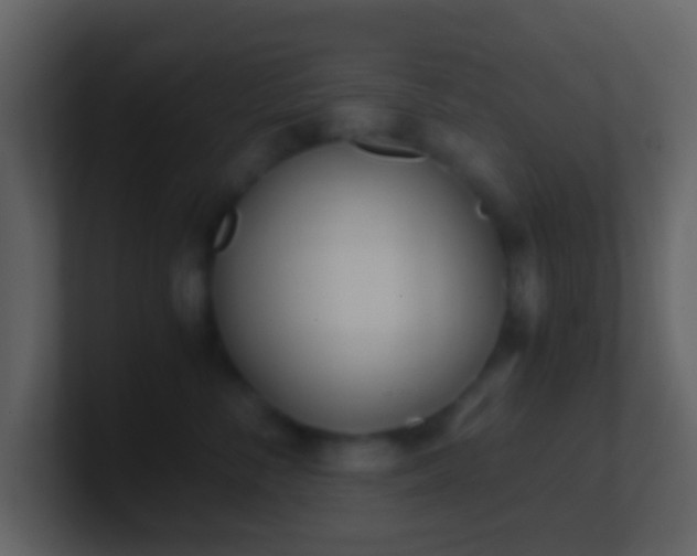 X0000101390716200807071157