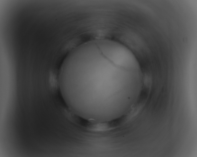 X0000101390719200807071157