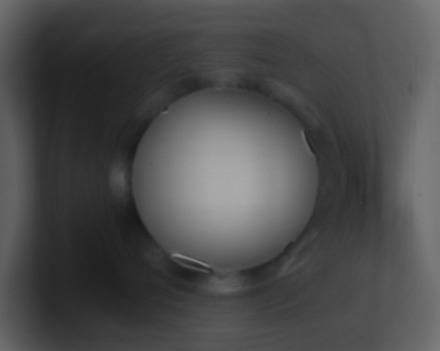 X0000101390720200807071157