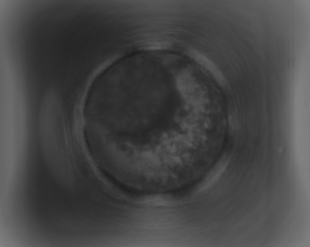 X0000101390721200807071157