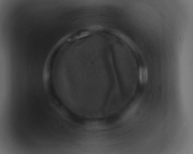 X0000101390723200807071157