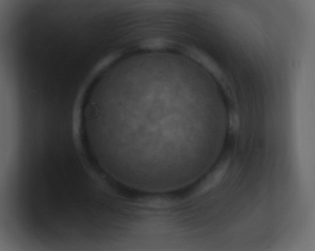 X0000101390724200807071157