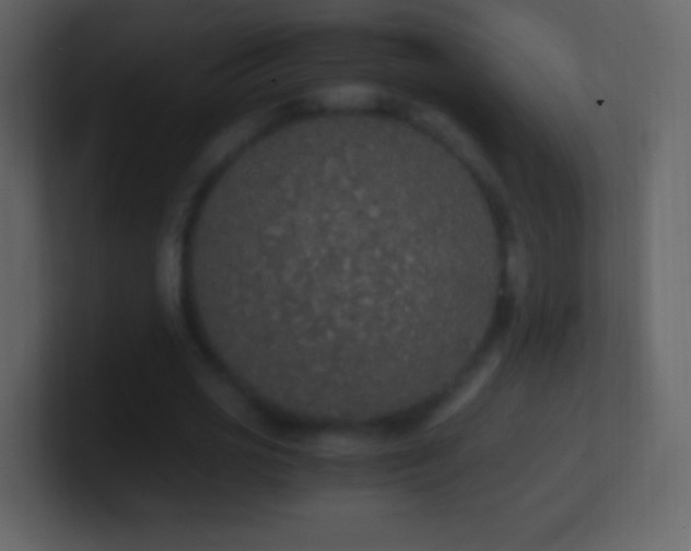 X0000101390725200807071157