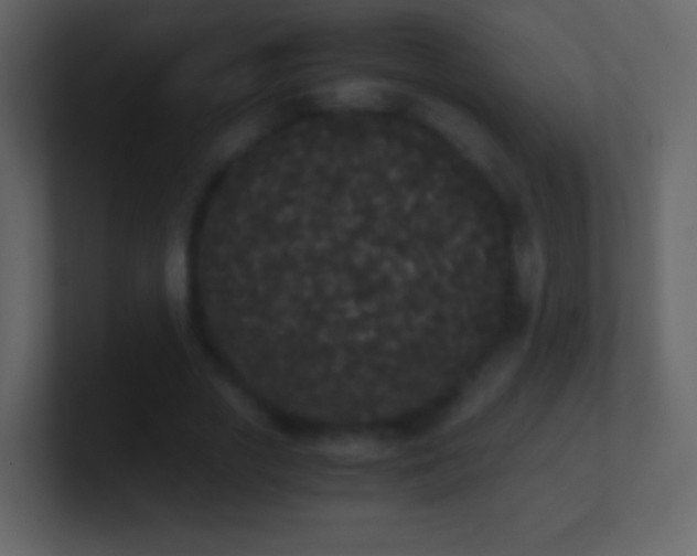 X0000101390729200807071157