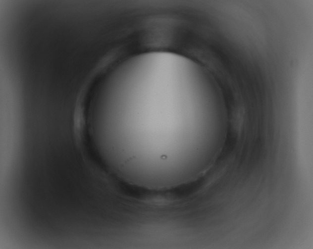 X0000101390731200807071157